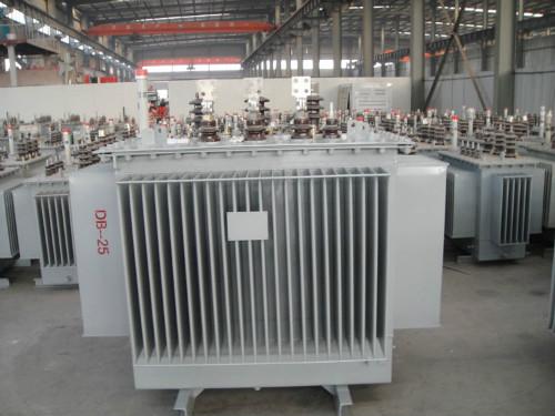 西藏S11-100KVA/10KV/0.4KV油浸式变压器